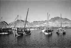 ���� ������ ��� ��� ����